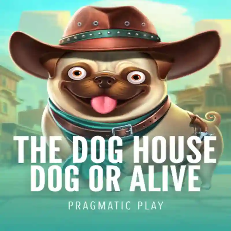 Tragamonedas Dog House Dog & Alive en 777z Casino